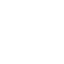 Networks Icon