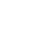 Healthcare Icon