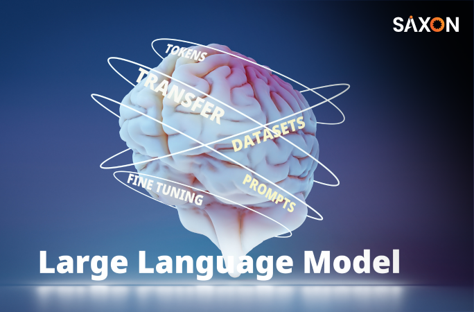 Leveraging Large Language Models for Mid-Market Enterprises